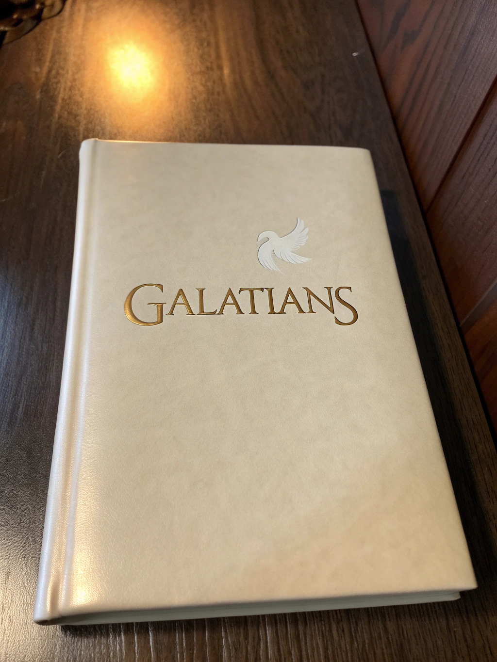 Identity in Christ Book Cover